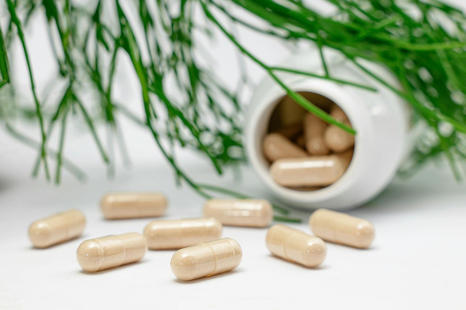 Natuurlijke supplementcapsules naast een open pot, op een lichte achtergrond.